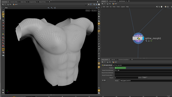 SideFx Houdini Screenshot with body model